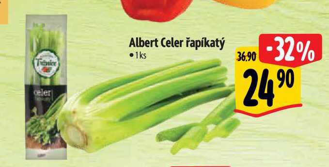 Albert Celer řapíkatý 1 ks