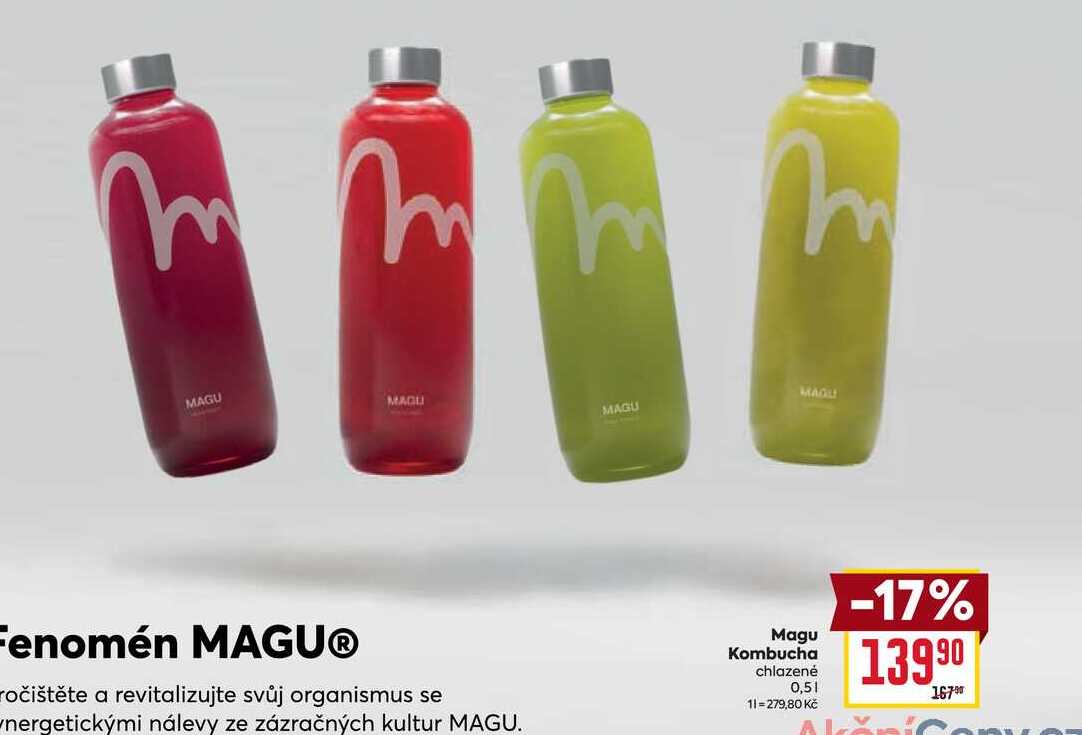Magu Kombucha chlazené 0,5l