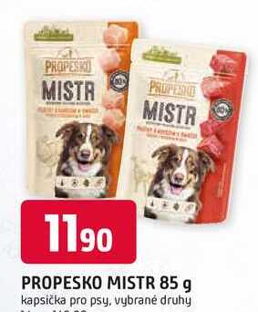 PROPESKO MISTR 85 g kapsička pro psy, vybrané druhy 