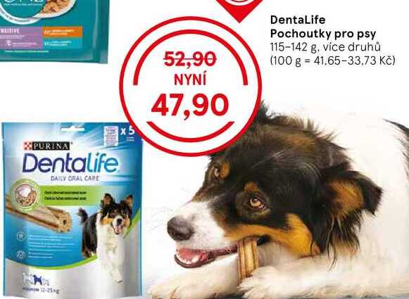 DentaLife Pochoutky pro psy, 115-142 g, více druhů