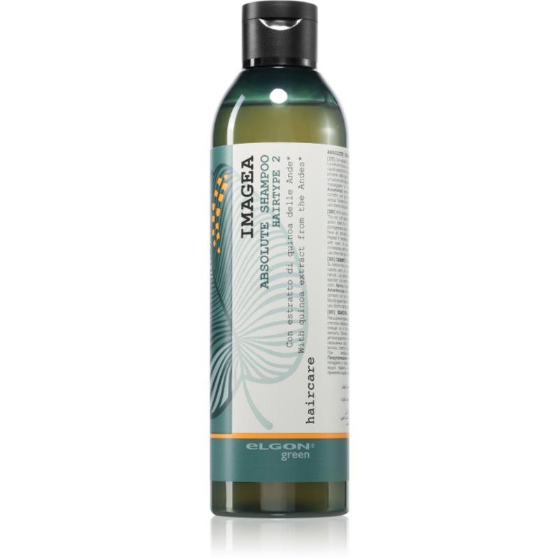 Elgon Green Imagea Absolute Shampoo rozjasňující a posilující šampon pro barvené vlasy 250 ml
