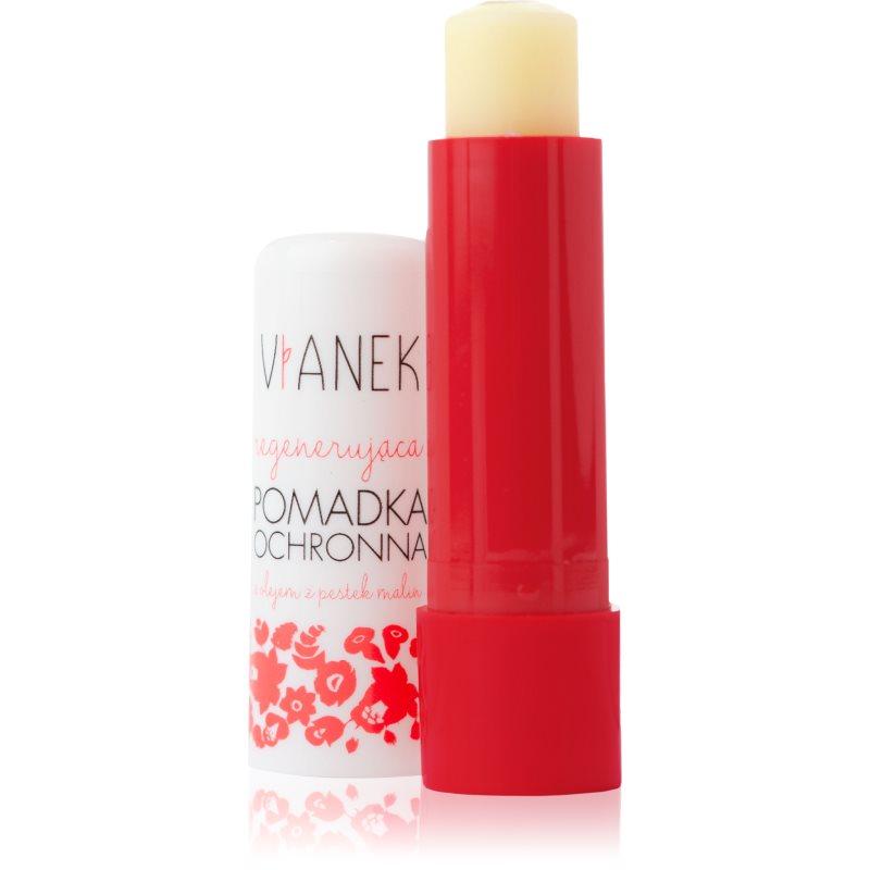 Vianek Regenerating regenerační balzám na rty 4,6 g
