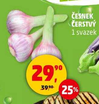 ČESNEK ČERSTVÝ, 1 svazek 
