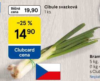 Cibule svazková, 1 ks