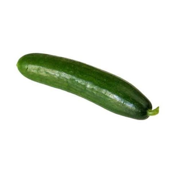 Okurka hadovka krátká