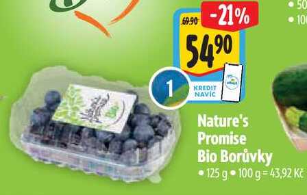 Nature's Promise Bio Borůvky, 125 g 