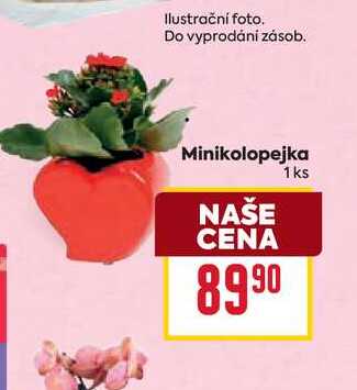 Minikolopejka 1ks