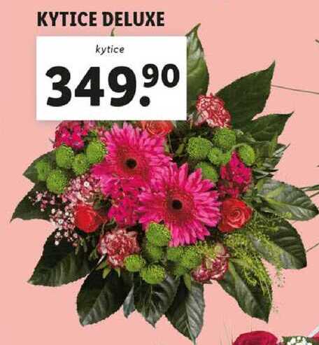 KYTICE DELUXE 