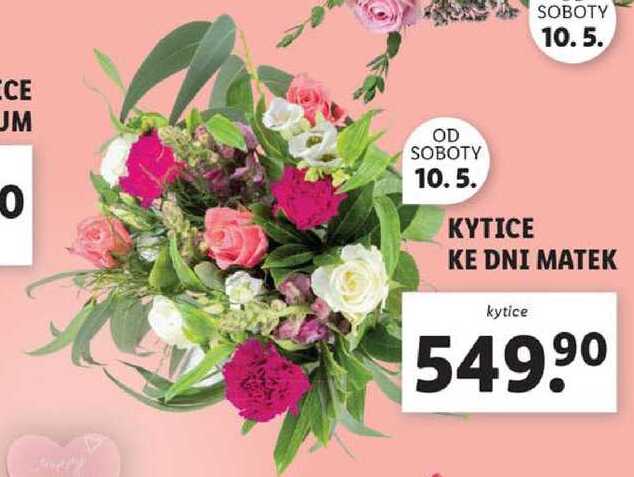 KYTICE KE DNI MATEK