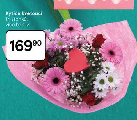 Kytice kvetoucí 14 stonků. vice barev  