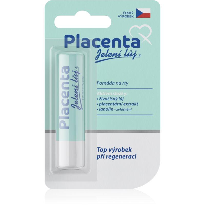 Regina Placenta pomáda na rty s regeneračním účinkem 4,5 g