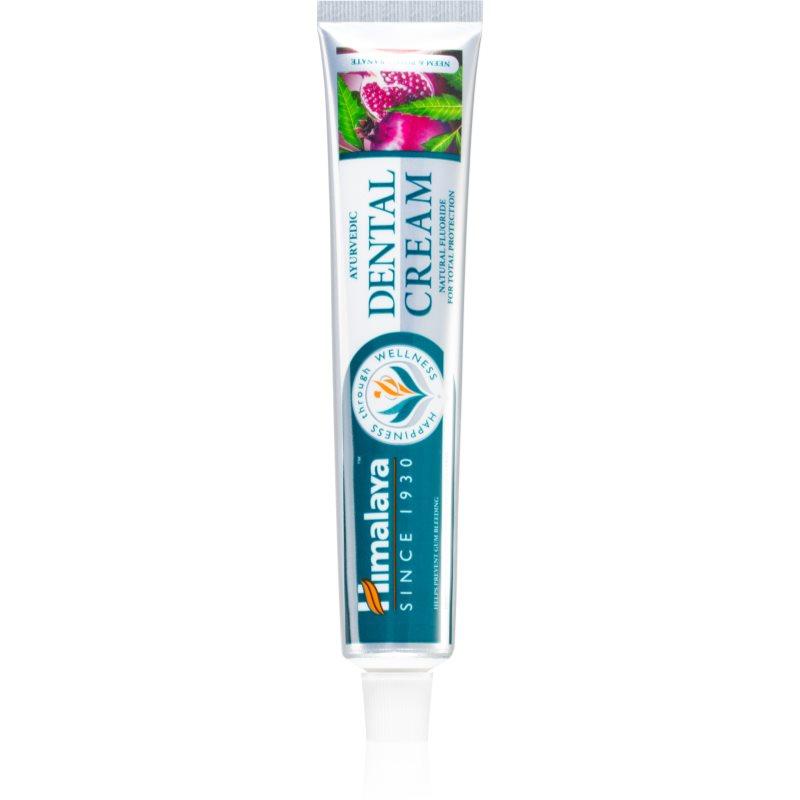 Himalaya Herbals Oral Care Ayurvedic Dental Cream bylinná zubní pasta s fluoridem mix barev 100 g