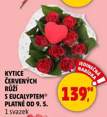 KYTICE ČERVENÝCH RŮŽÍ S EUCALYPTEM, 1 svazek