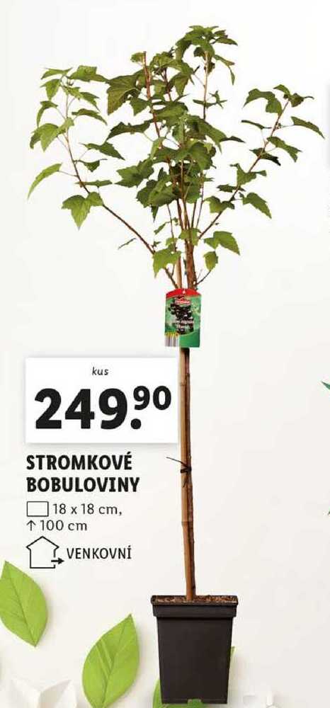 STROMKOVÉ BOBULOVINY