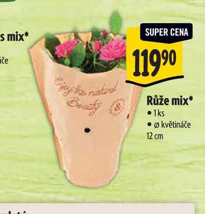   Růže mix, pr. květináče 12 cm 