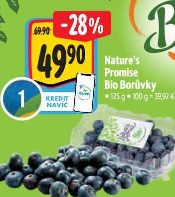   Nature's Promise Bio Borůvky 125 g 