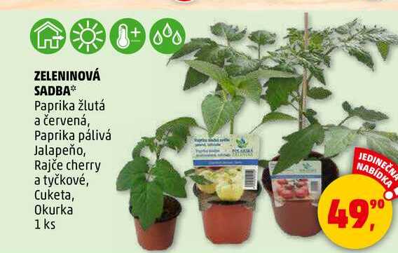 ZELENINOVÁ SADBA Paprika žlutá a červená, 1 ks