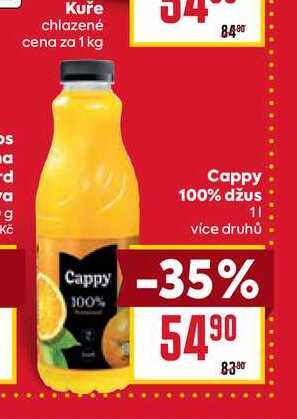 Cappy 100% džus 1l