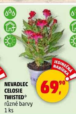 NEVADLEC CELOSIE TWISTED různé barvy, 1 ks  