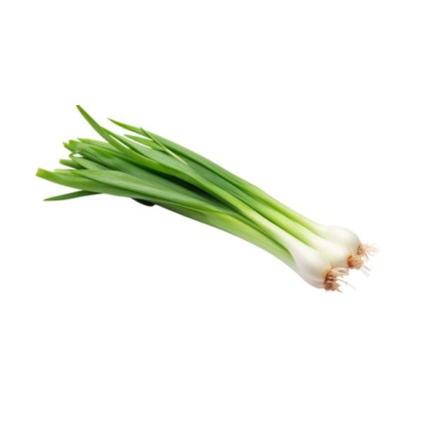 Farma Hana Součková Cibulka lahůdková jarní, svazek