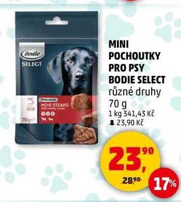 MINI POCHOUTKY PRO PSY BODIE SELECT různé druhy, 70 g 