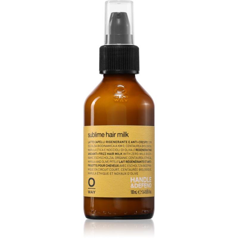 Oway Styling & Finish mléko na vlasy proti krepatění 100 ml