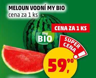 MELOUN VODNÍ MY BIO, 1 KS