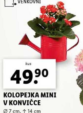 KOLOPEJKA MINI V KONVIČCE