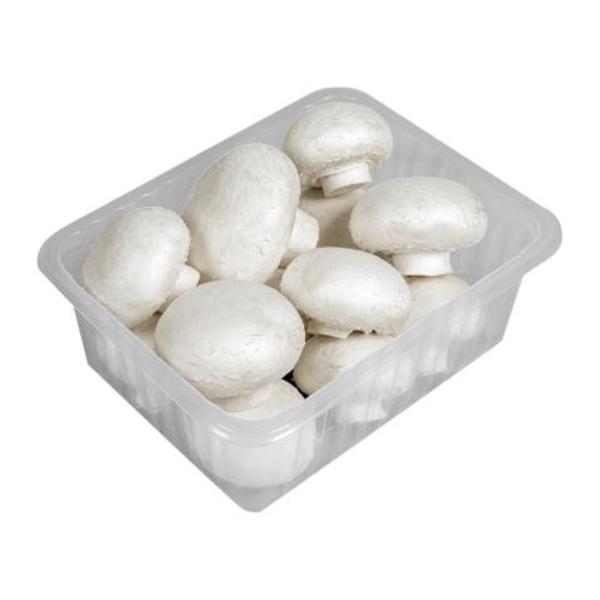 České houby Žampiony zahradní bílé vanička 500g