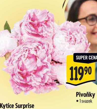   Pivoňky  1 svazek 