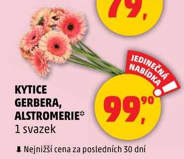 KYTICE GERBERA, ALSTROMERIE, 1 svazek 