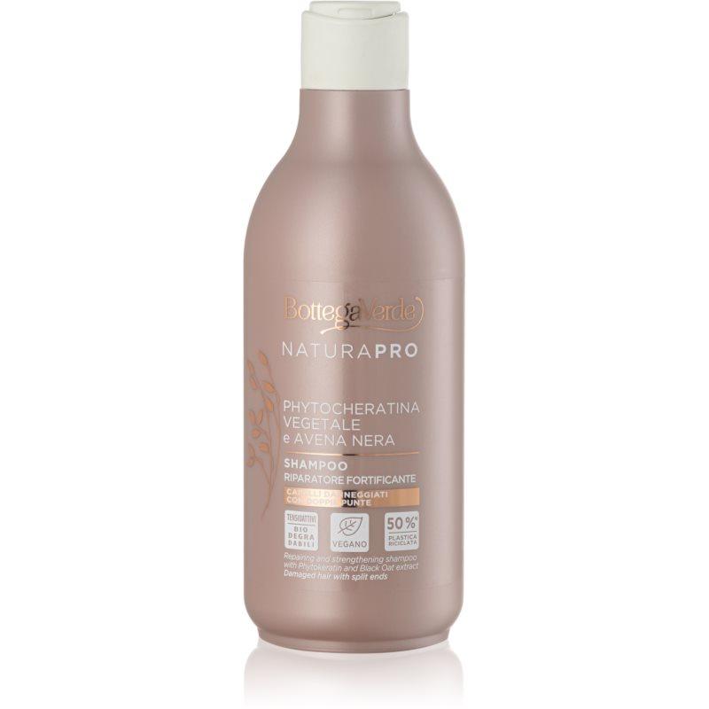 Bottega Verde Zenzero posilující šampon na vlasy 250 ml
