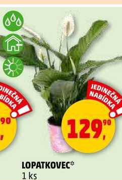 LOPATKOVEC, 1 ks 