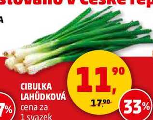 CIBULKA LAHŮDKOVÁ, 1 svazek 