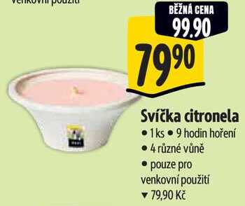 Svíčka citronela