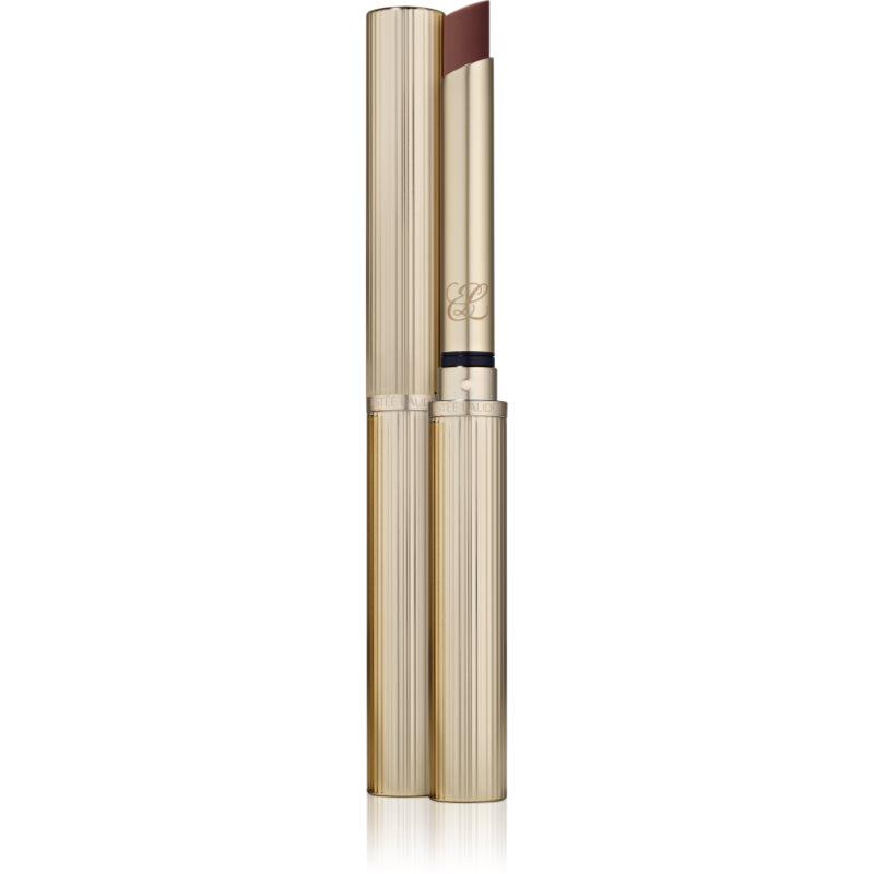 Estée Lauder Pure Color Explicit matná rtěnka odstín Smokescreen 1.8 g
