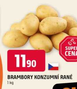 Konzumní brambory 1kg