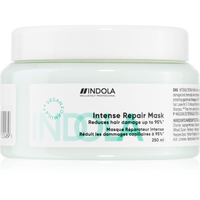Indola Repair Intense Repair Mask posilující maska pro extrémně poškozené vlasy 250 ml