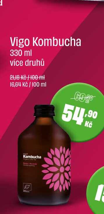 Vigo Kombucha 330 ml více druhů 