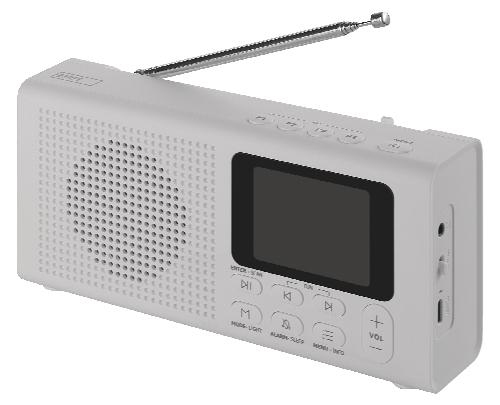 DAB FM Rádio P-600