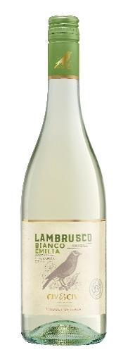 Lambrusco Dell´ Emilia