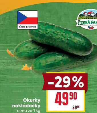 Okurky nakládačky cena za 1 kg  
