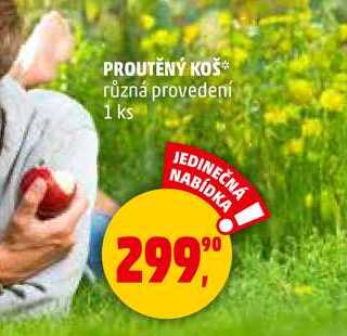 PROUTĚNÝ KOŠ různá provedení, 1 ks  