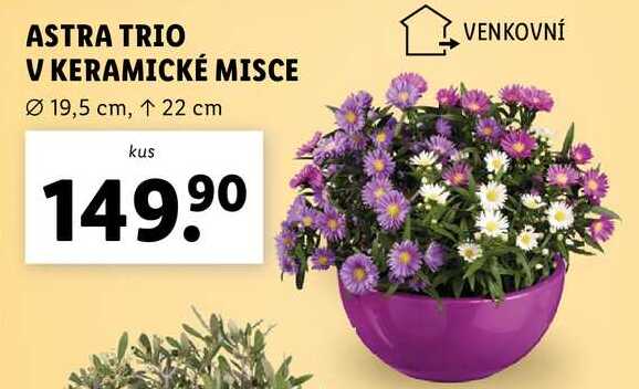 ASTRA TRIO V KERAMICKÉ MISCE
