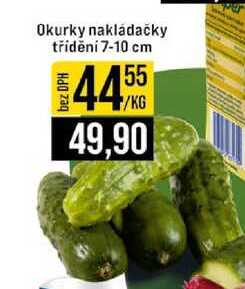 Okurky nakládačky třídění 7-10 cm 