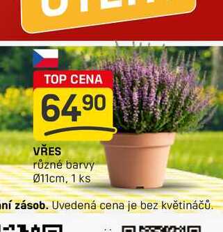 VŘES různé barvy 011cm, 1 ks