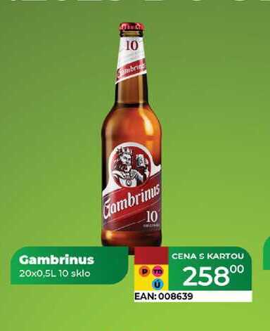 Gambrinus 20x0,5L 10 sklo  
