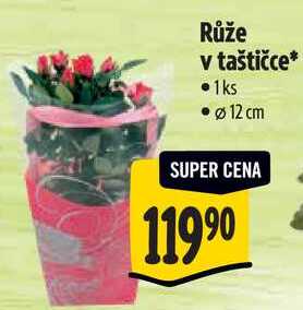 Růže v taštičce