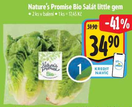 Nature's Promise Bio Salát little gem, 2 ks 