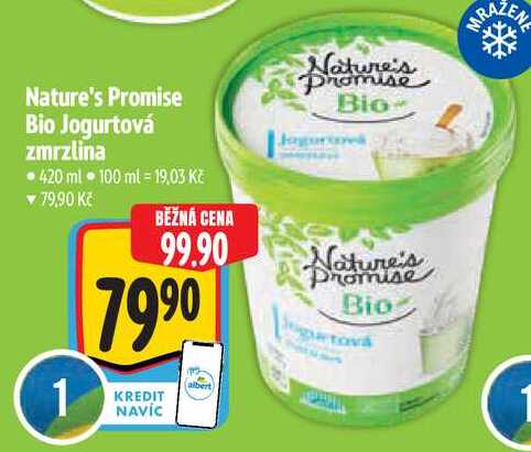 Nature's Promise Bio Jogurtová zmrzlina, 420 ml 